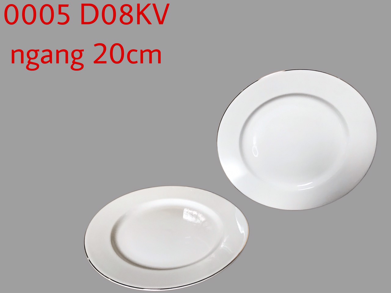 Đĩa bằng D08 kẻ vàng