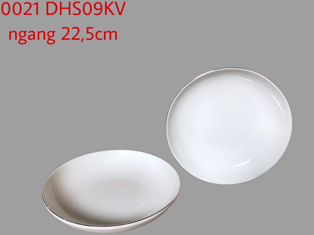 Đĩa Sâu DHS09 kẻ vàng