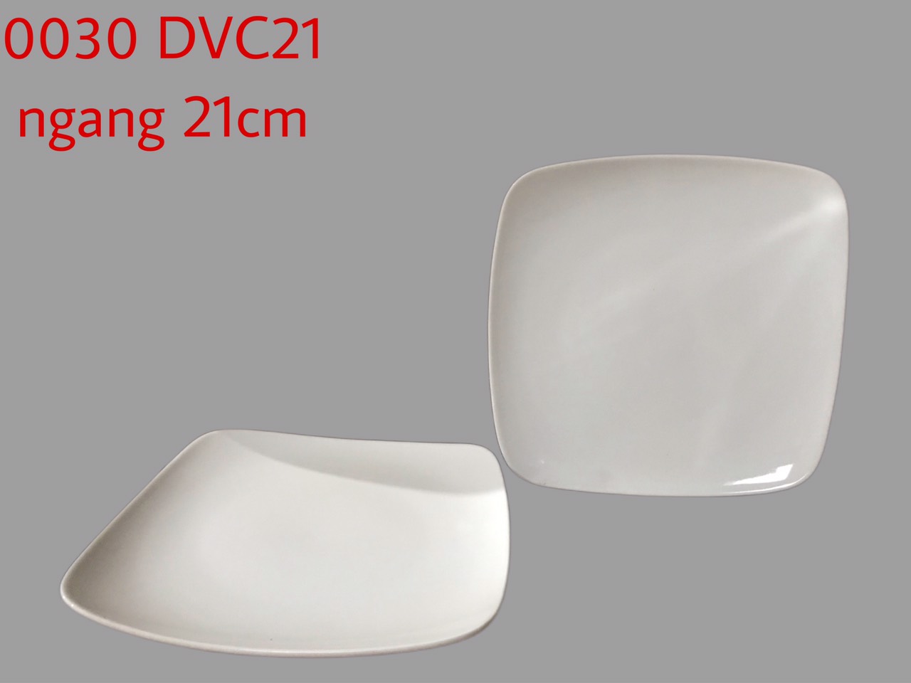 Đĩa vuông trắng  DVC21