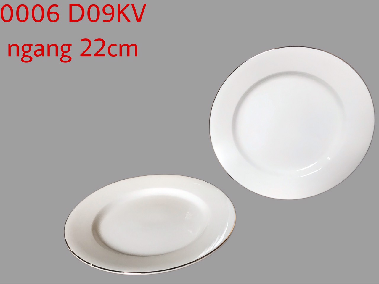 Đĩa bằng D09 kẻ vàng