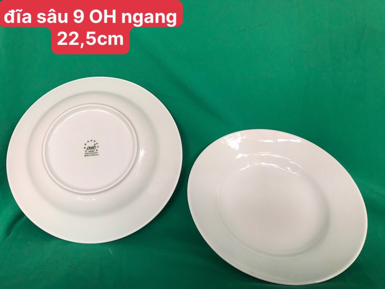 Đĩa sâu 9 trắng OHIO