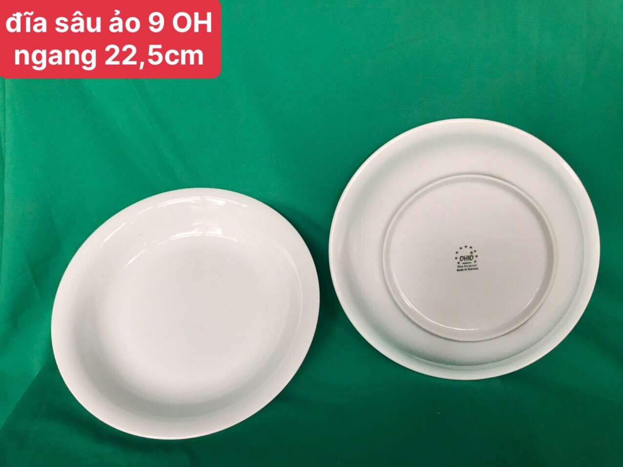 Đĩa sâu ảo 9 trắng OHIO