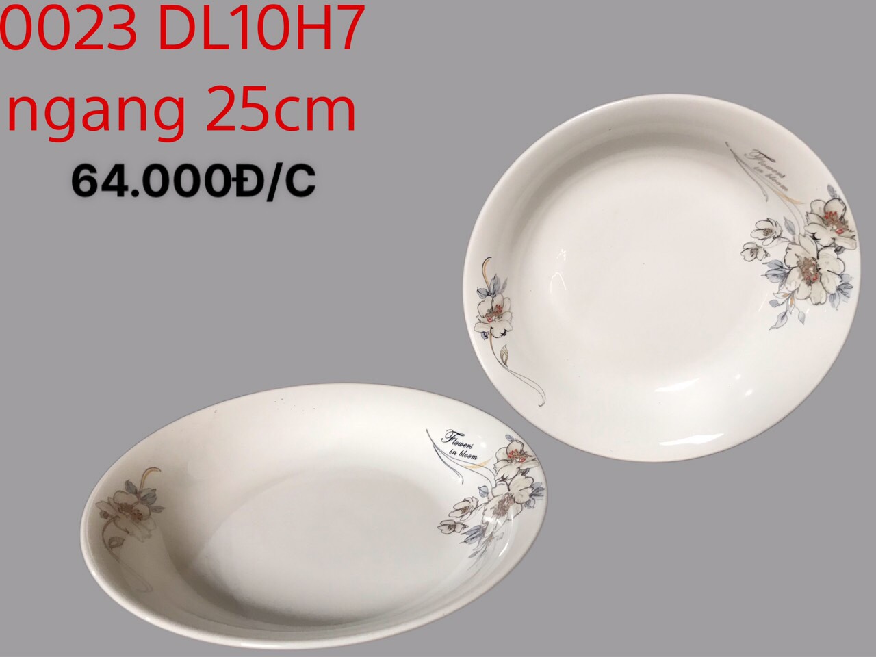 Đĩa loe 10 hoa 07