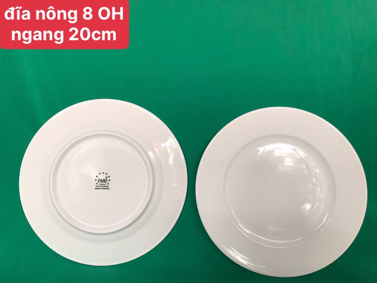 Đĩa nông 8 trắng OHIO