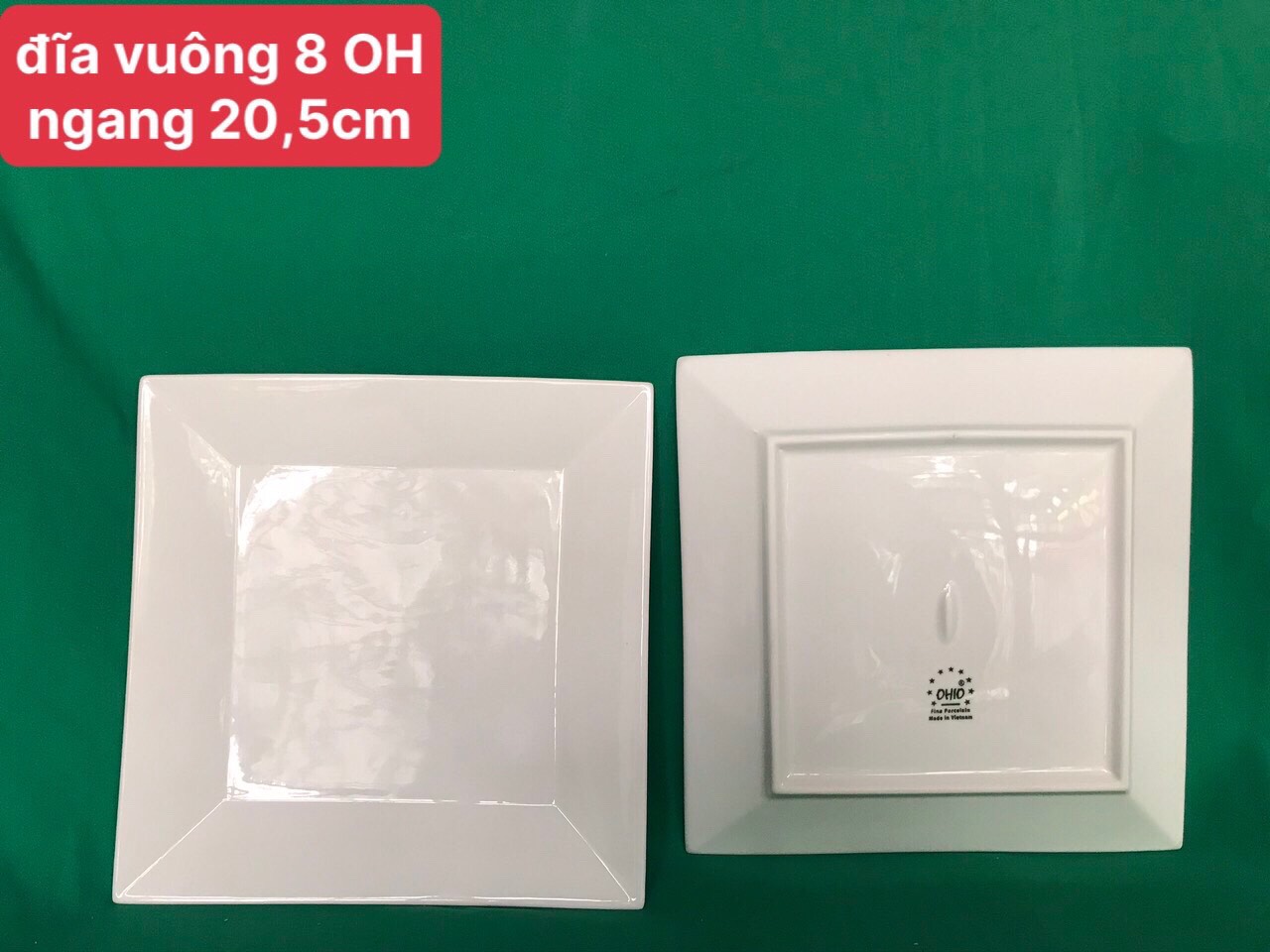 Đĩa vuông 8 trắng OHIO