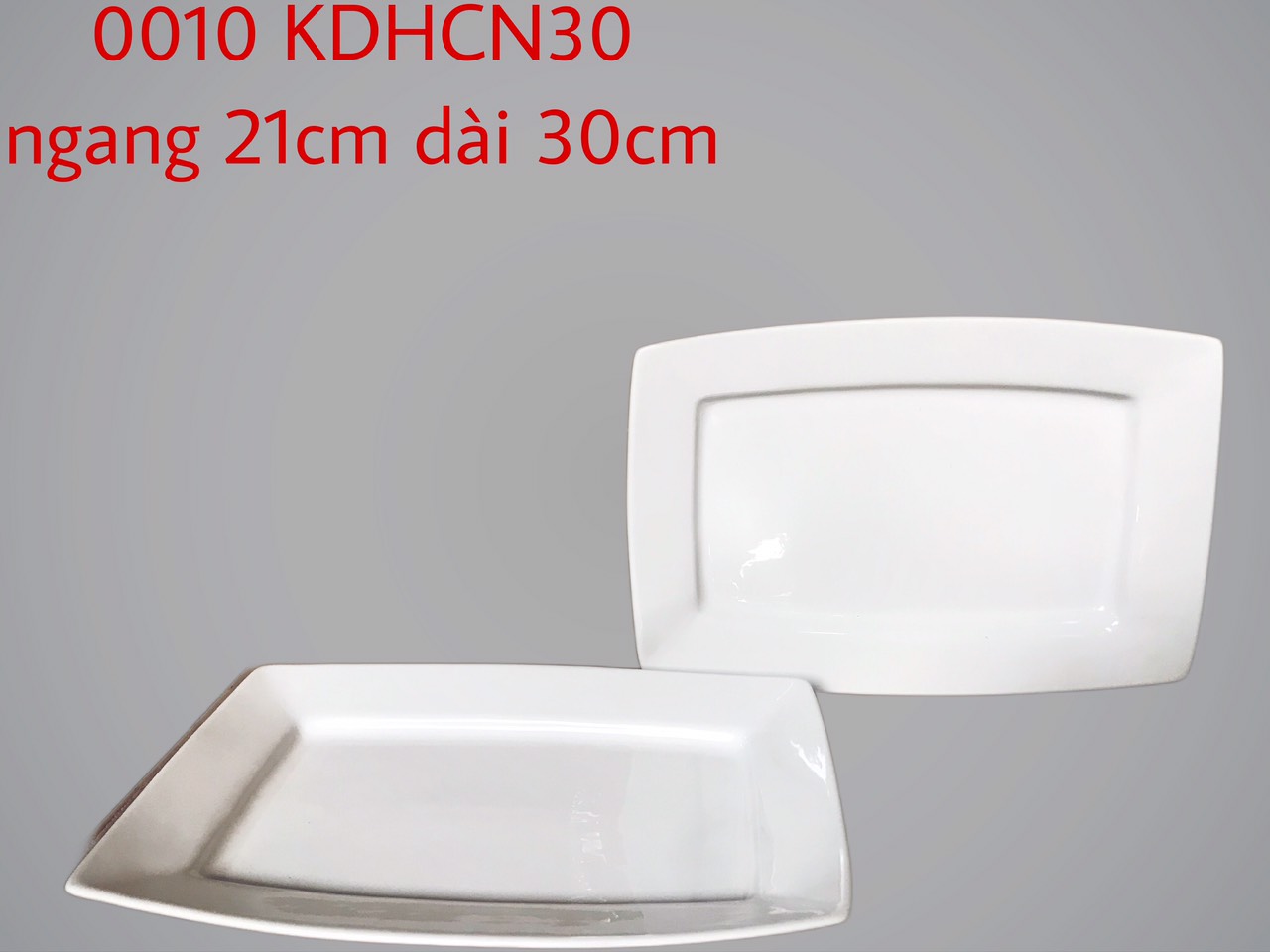 Đĩa Chữ Nhật HCN30