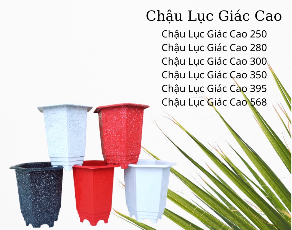 Chậu nhựa lục giác cao