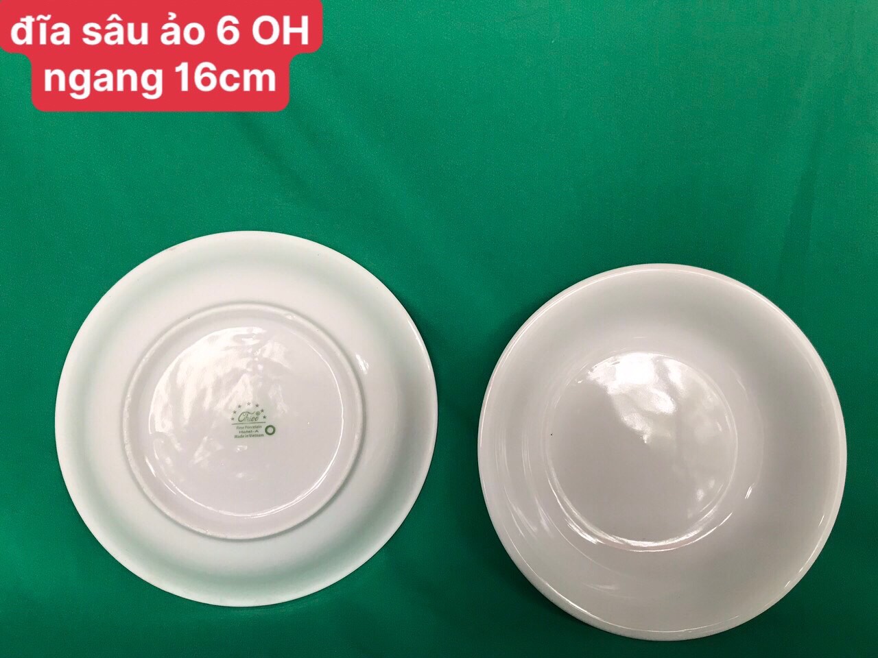 Đĩa sâu ảo 6 trắng OHIO