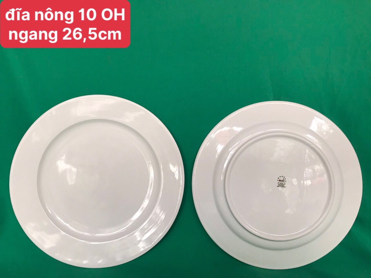 Đĩa nông 10 trắng OHIO