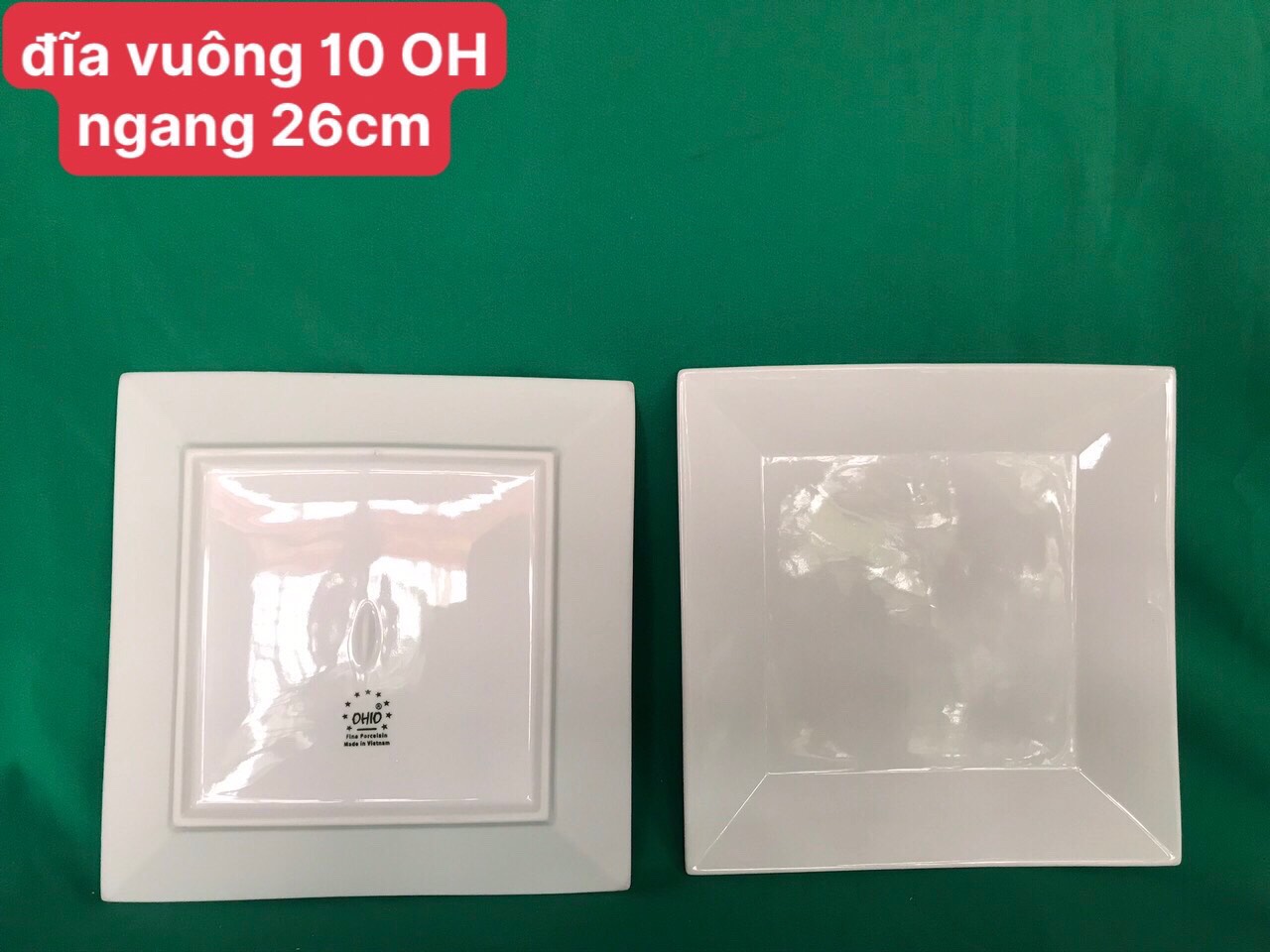 Đĩa vuông 10 trắng OHIO