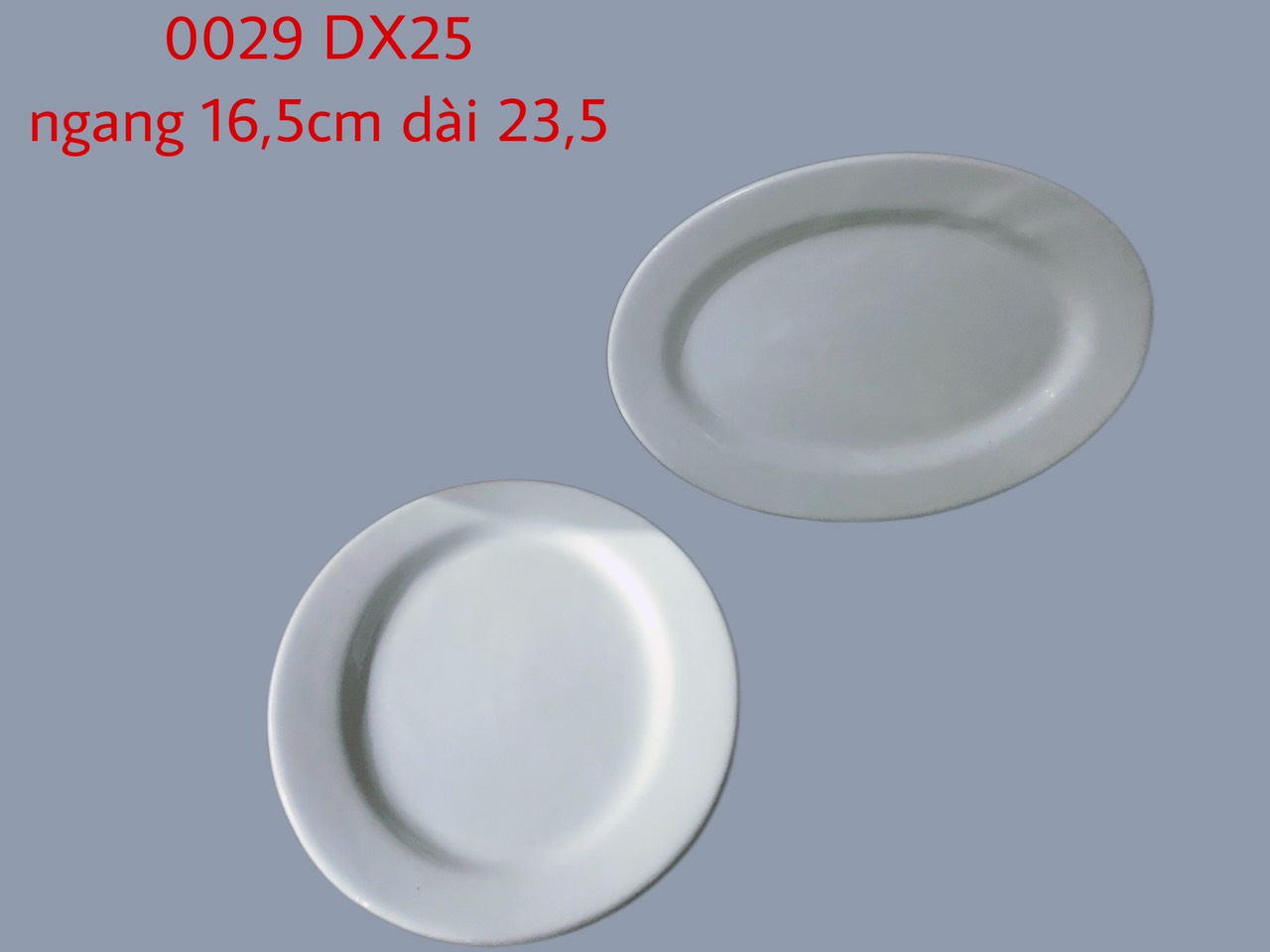 Đĩa Xoài trắng 25