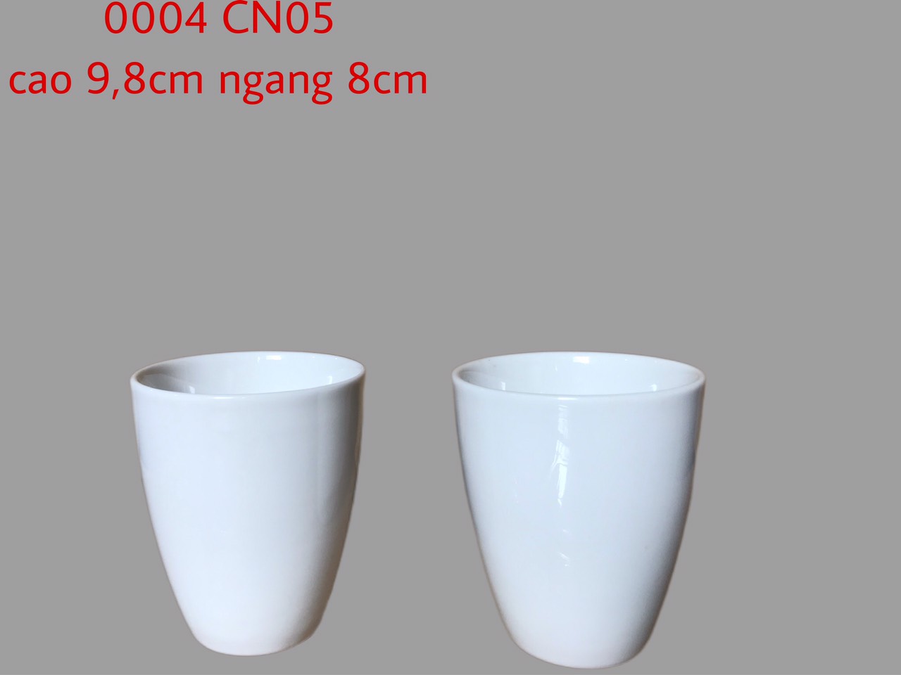 Cốc không quai CN05