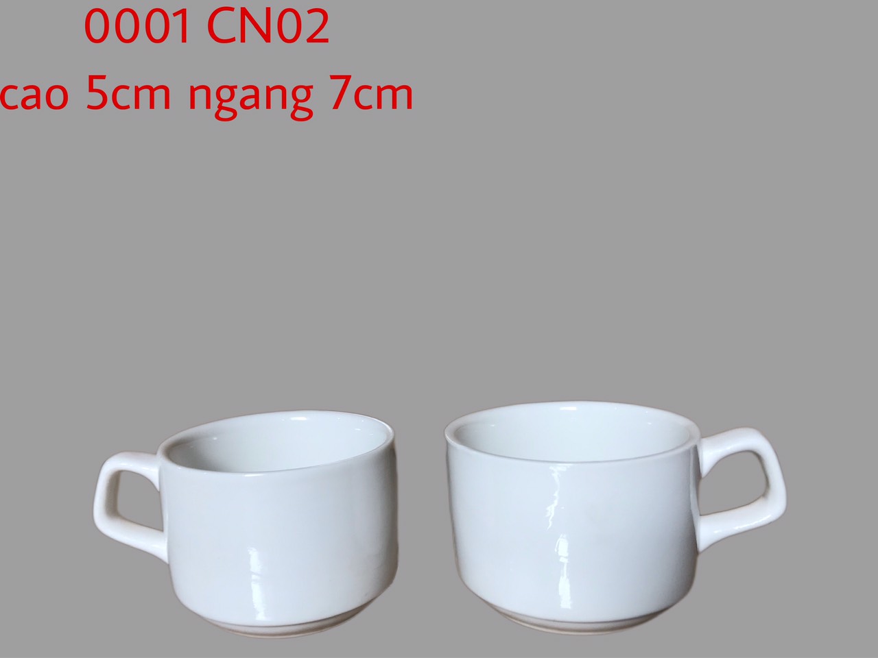 Cốc quai CN02