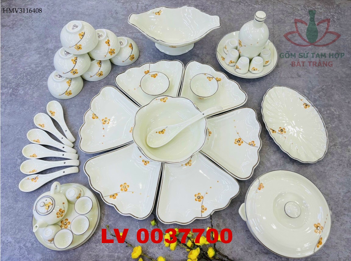 Bộ ăn mặt trời mai vàng 41 sản phẩm