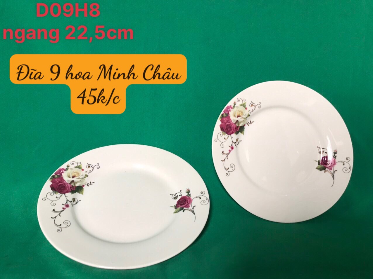 Đĩa bằng D09 hoa 08