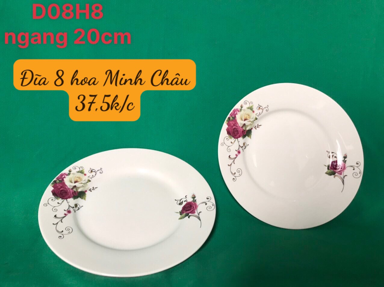 Đĩa bằng D08 hoa 08