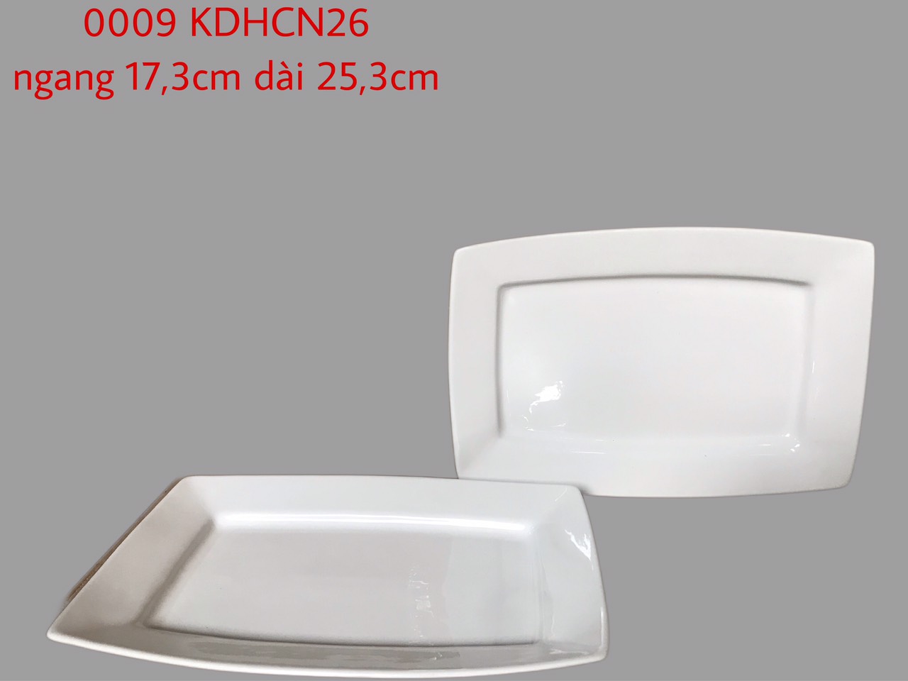 Đĩa Chữ Nhật HCN26