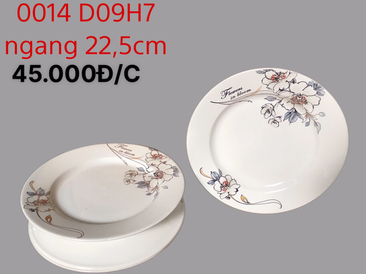 Đĩa bằng D09 hoa 07