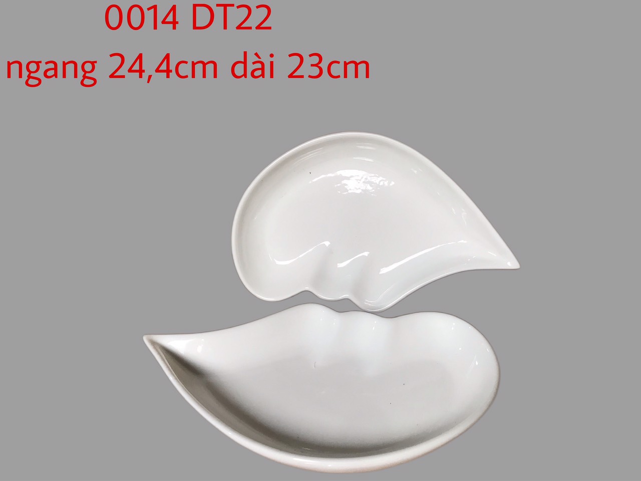 Đĩa hình kiểu trái tim DT22