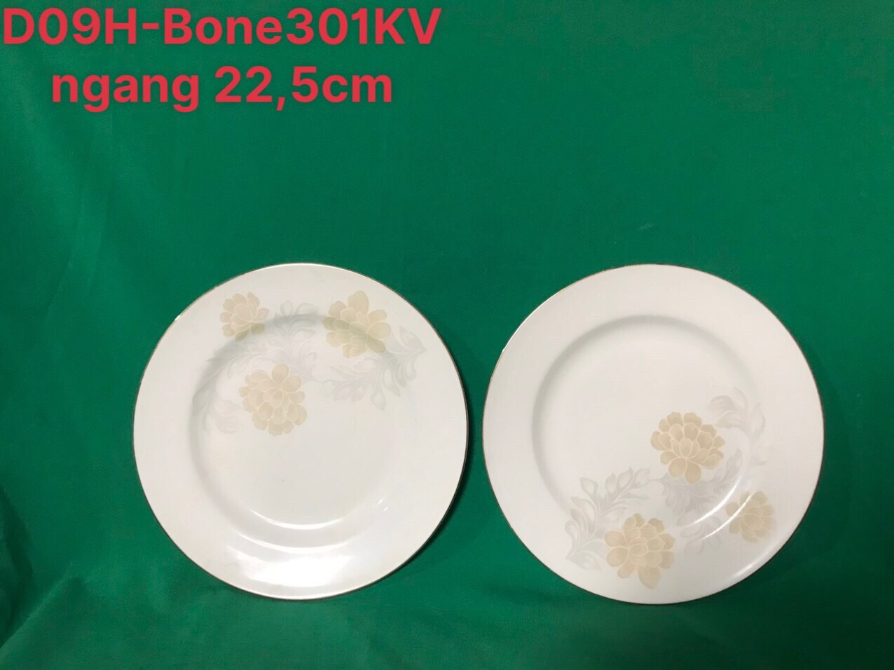 Đĩa bằng D09 hoa bone kẻ vàng