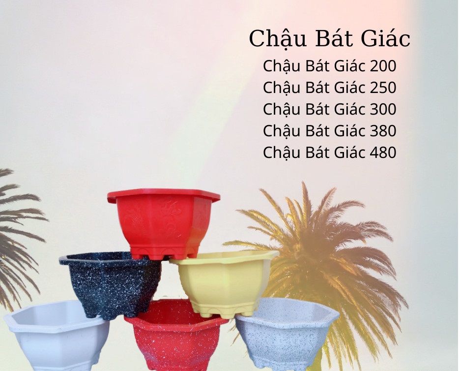 Chậu nhựa bát giác